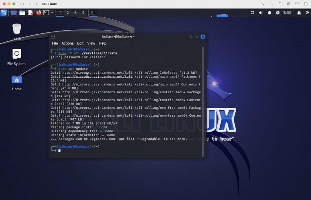 Primary Kali update command execution on Terminal Window