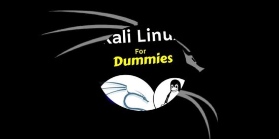 Comprehensive Visual Guide for Installing and Running Kali Linux on Apple Silicon Mac for Free